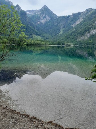Offensee
