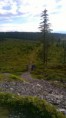 /album/rychlebske-hory-2015/wp-20150624-022-jpg1/