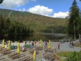 /album/bavorsky-les-2020/img-20200623-104035-jpg/